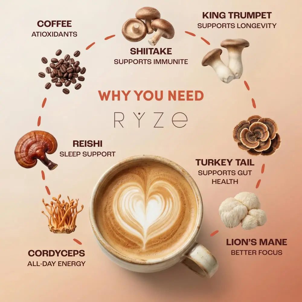 Organic Mushroom Coffee Powder
